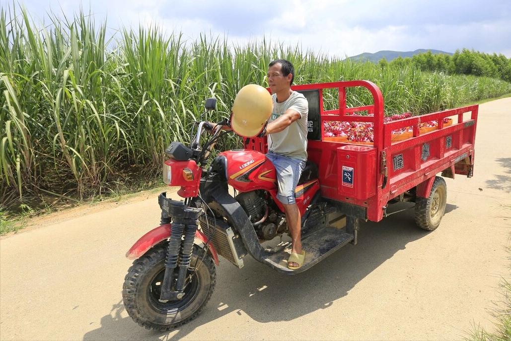 电动载货三轮车最大续航,大动力续航能力强的电动三轮车