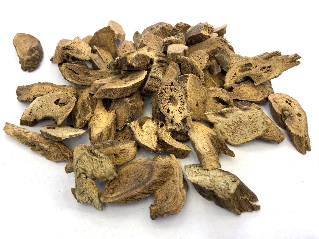 藁本的药性歌诀,每天学习一味中药藁本