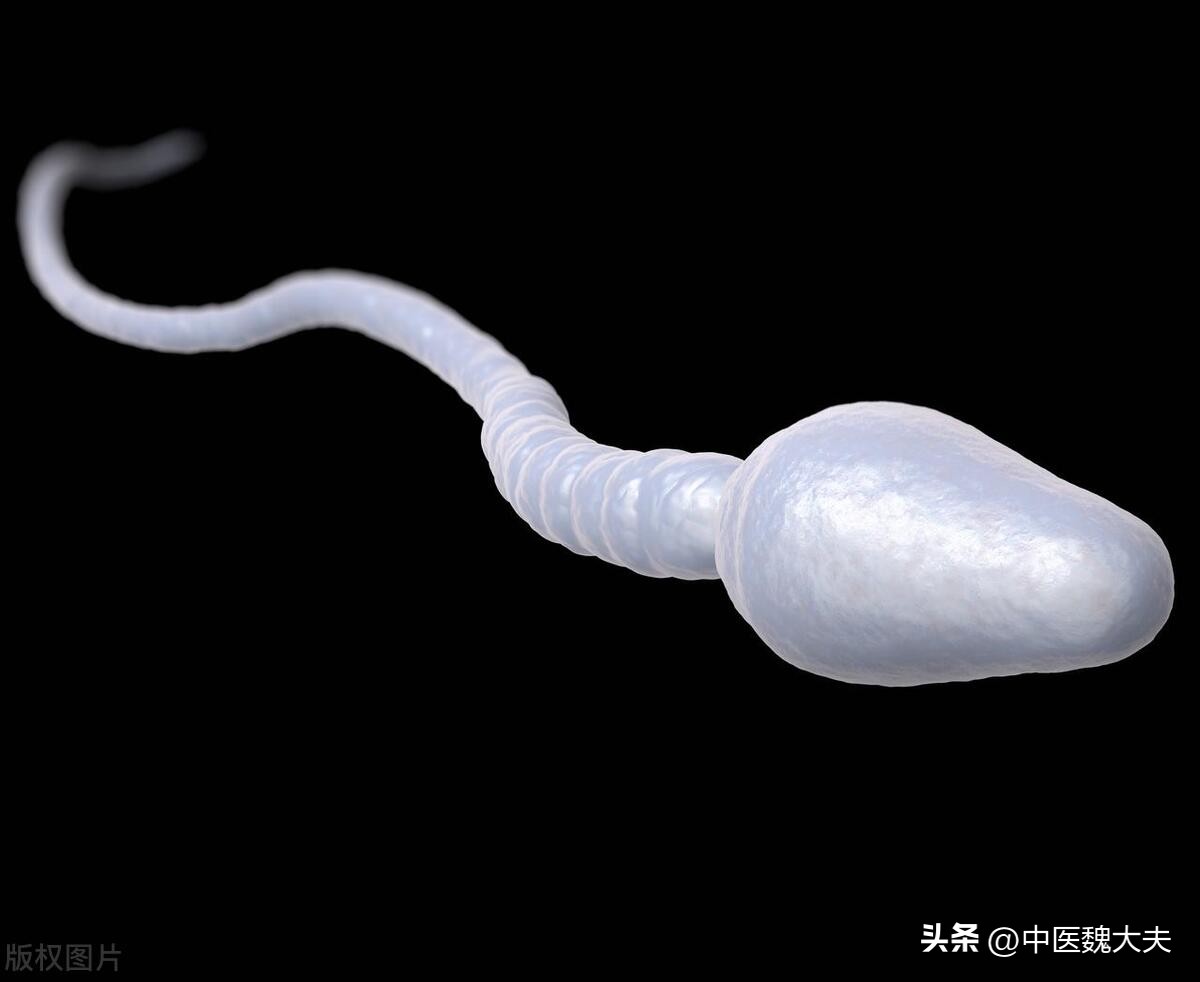 男性为什么特别渴望婚姻,男性为什么更渴望婚姻