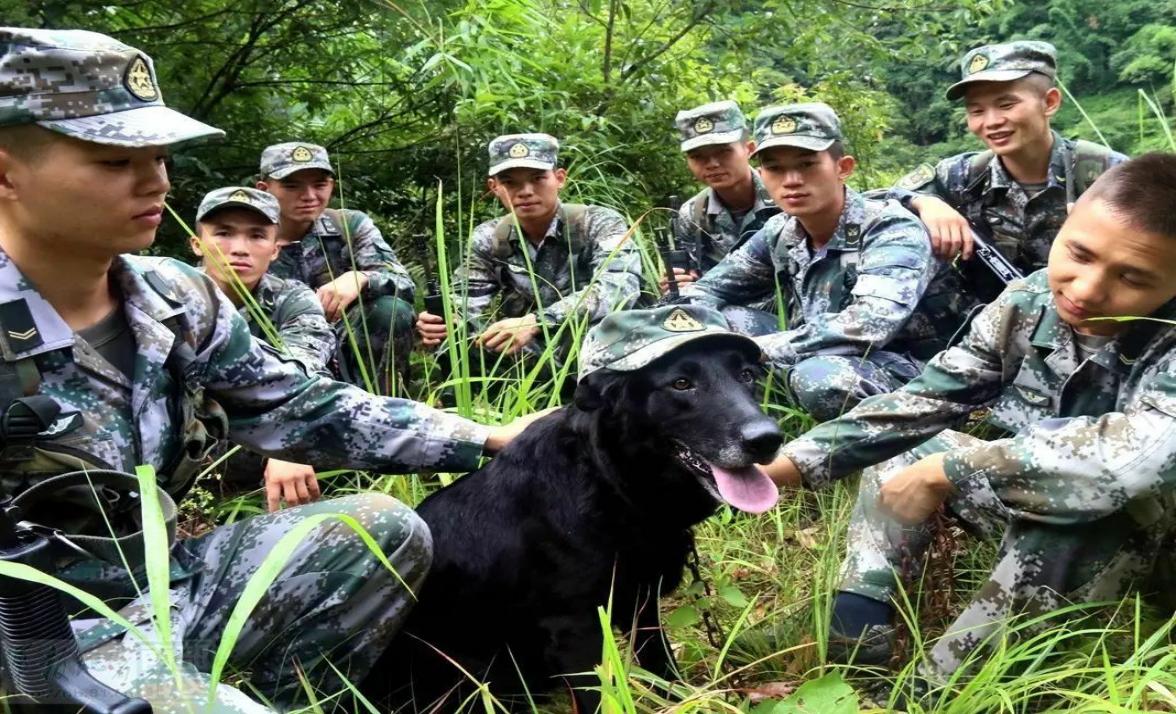 河南洛宁赵明军——火箭军之东风导弹