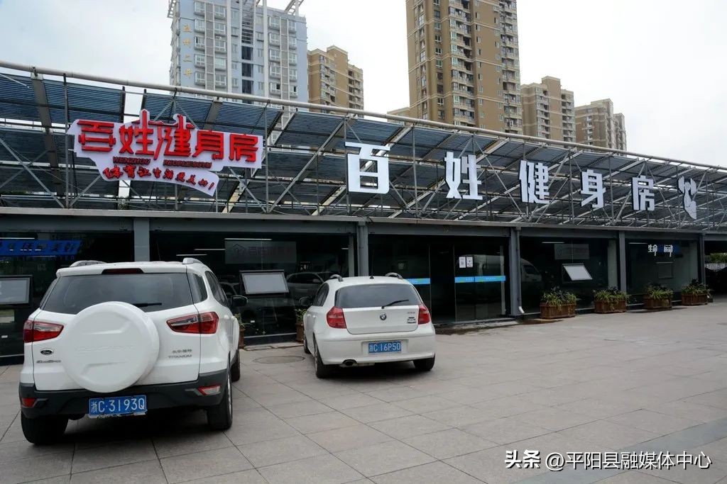 平阳的传统文化,平阳县传统文化