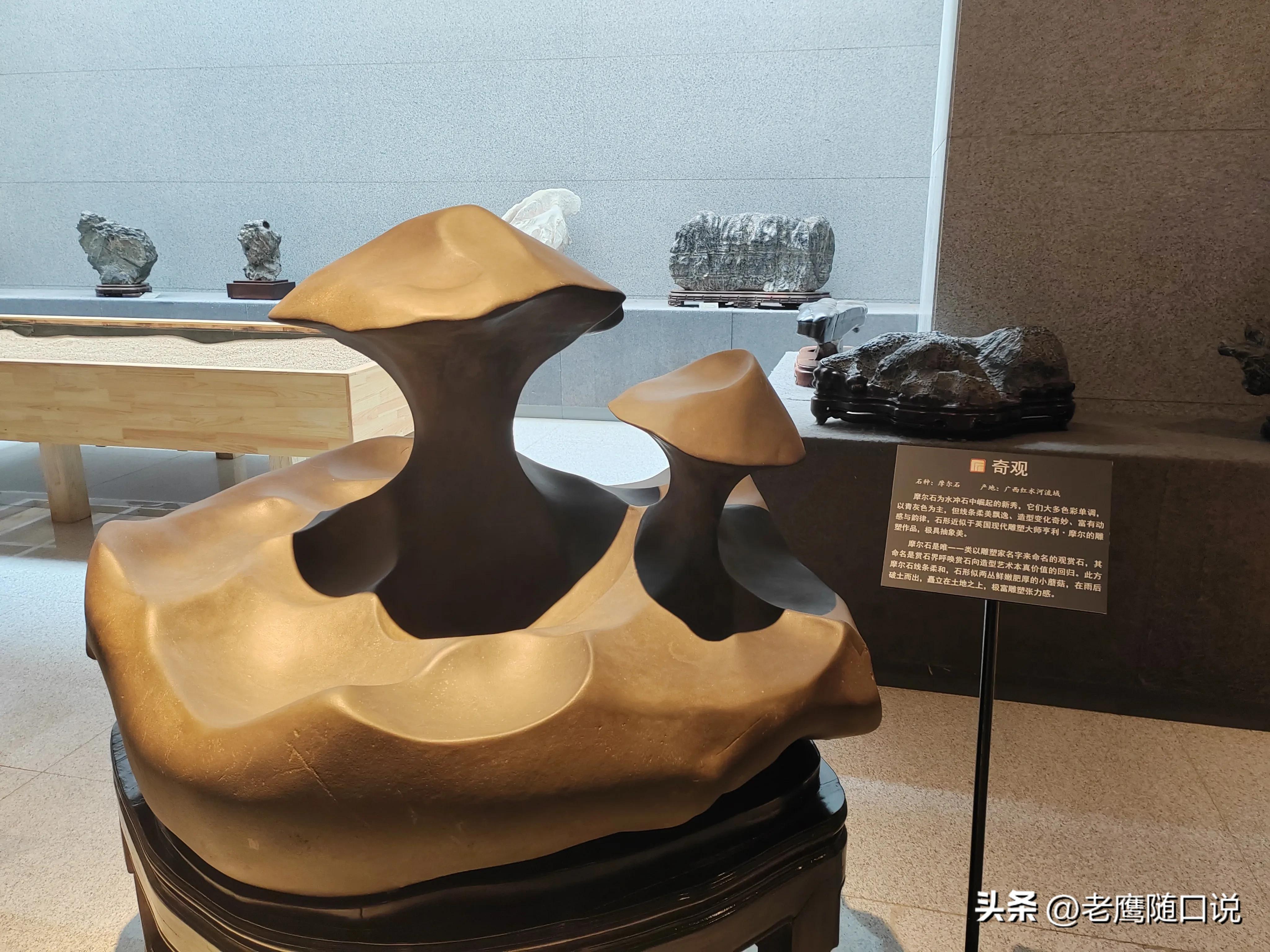 参观青岛博物馆,参观青岛葡萄酒博物馆感受