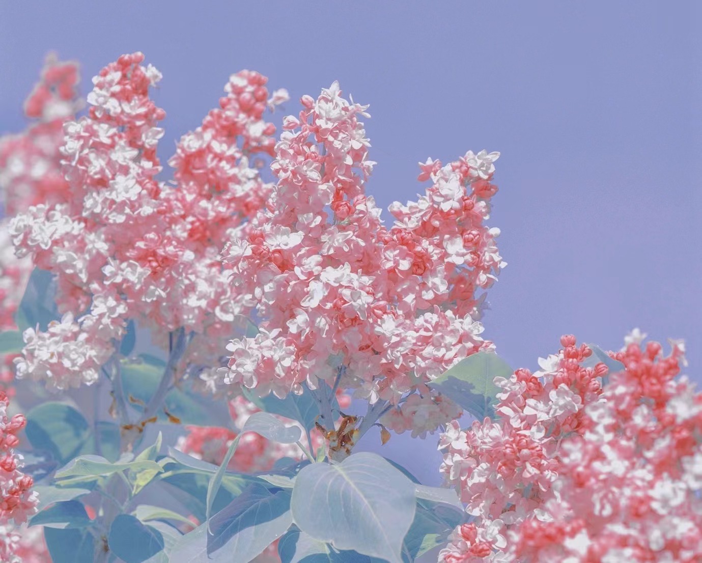 高考押题卷为什么能提高成绩,高考押题卷家长必备