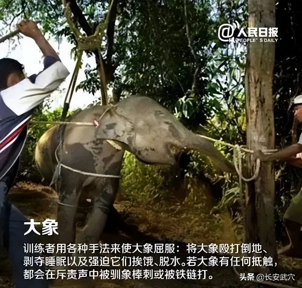 全网最近大事件,最大丑闻案件