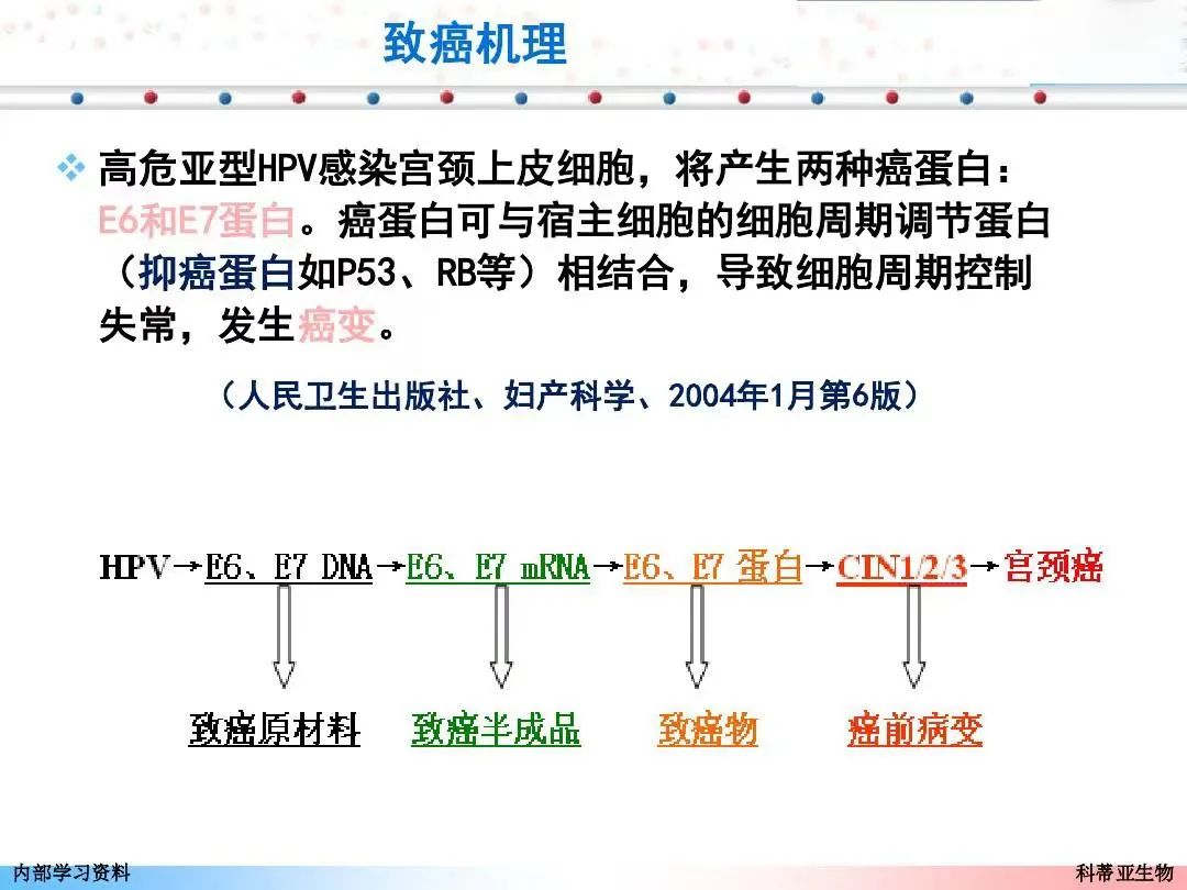 宫颈癌e6e7阴性是什么意思,e6e7数值20多会是宫颈癌吗