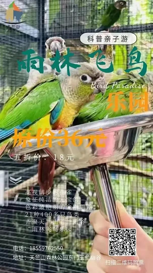 最新厦门游玩攻略,厦门5天新年游玩攻略