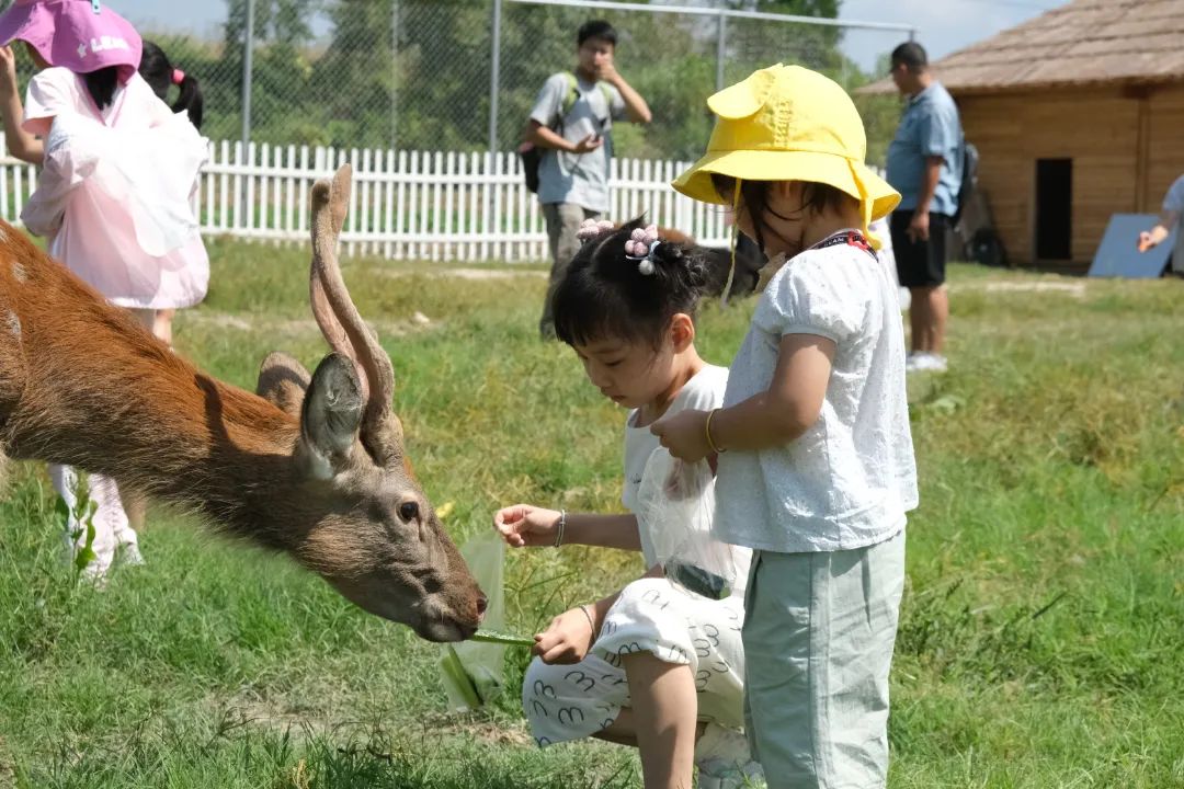 宏村小众景区,宏村山野小院