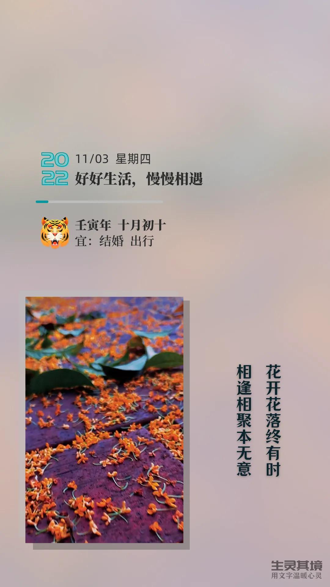 终是花开花落的经典语录,不负好时光的唯美句子花开花落