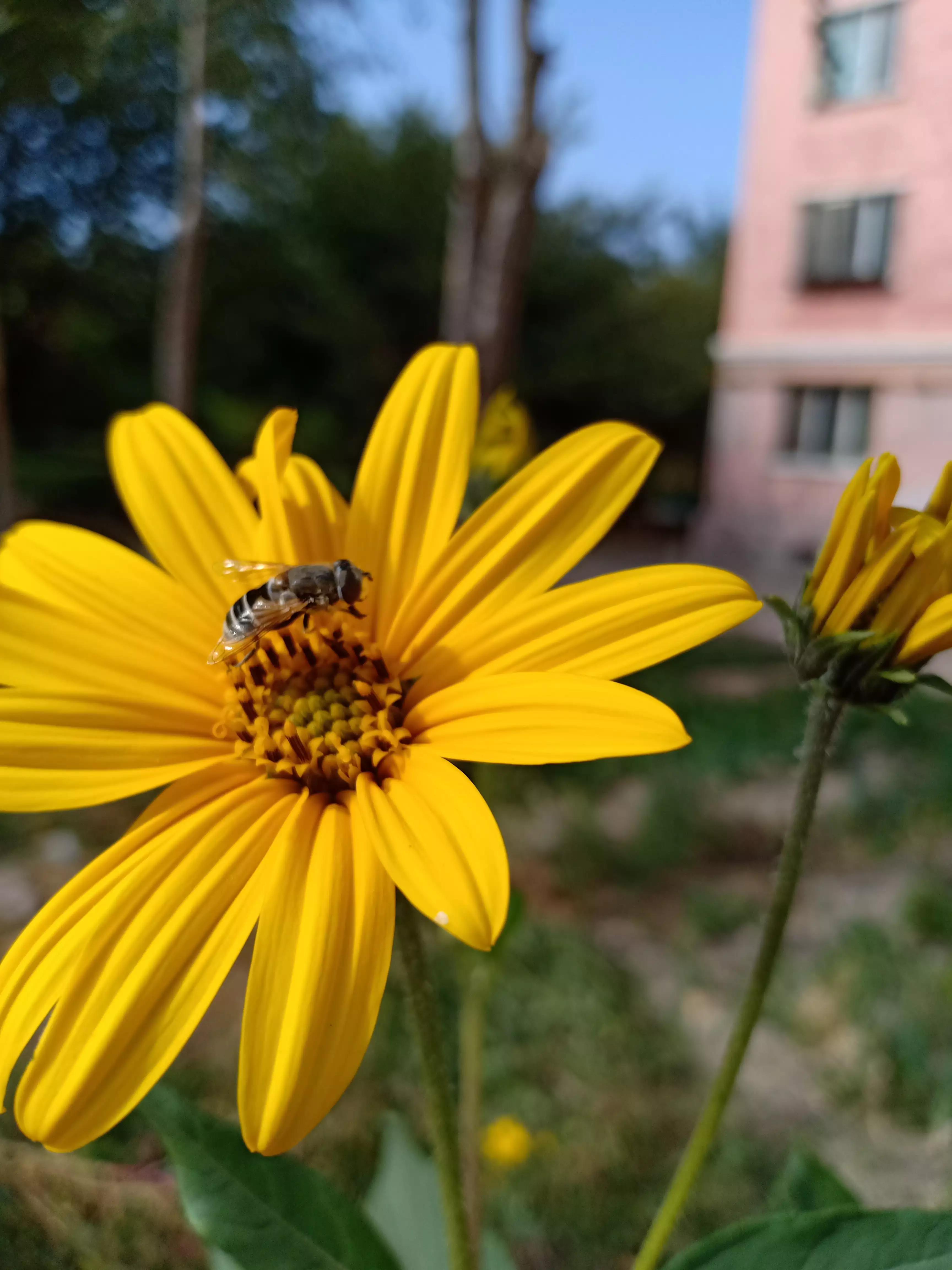 婆子妈说儿媳妇有公主病,儿媳妇有公主病怎么办