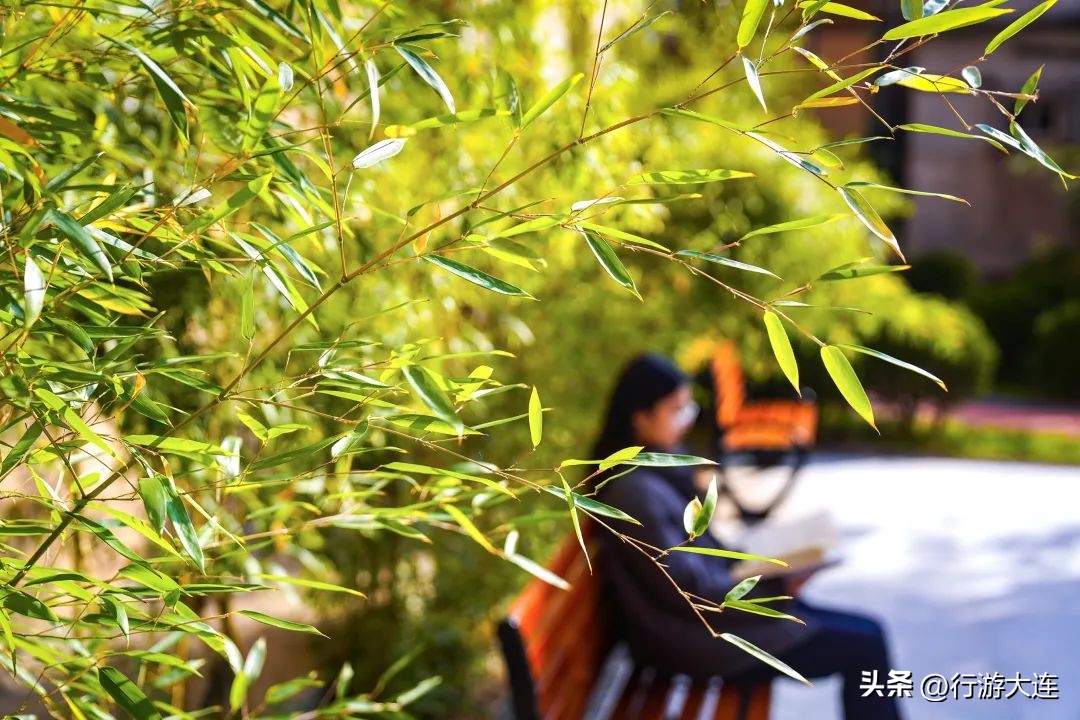 超美！在大连这座百年图书馆，来一场穿越之旅吧