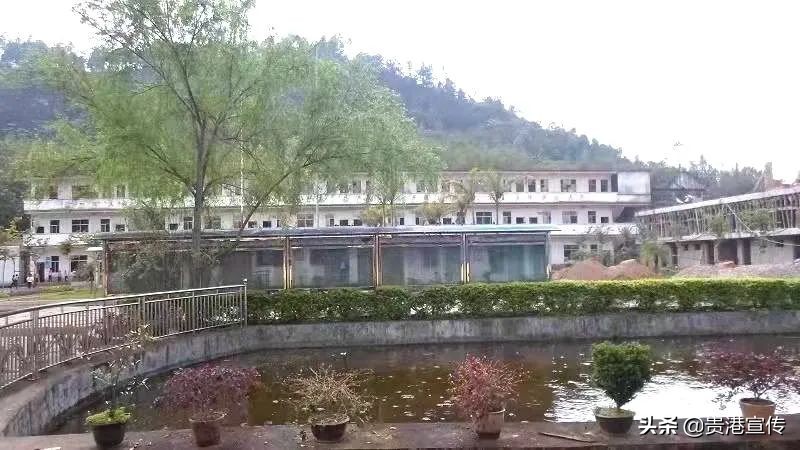 大鹏中心小学温逸宏,大鹏中心小学陈小波