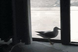 100个难得一见的照片,106个难得一见的照片