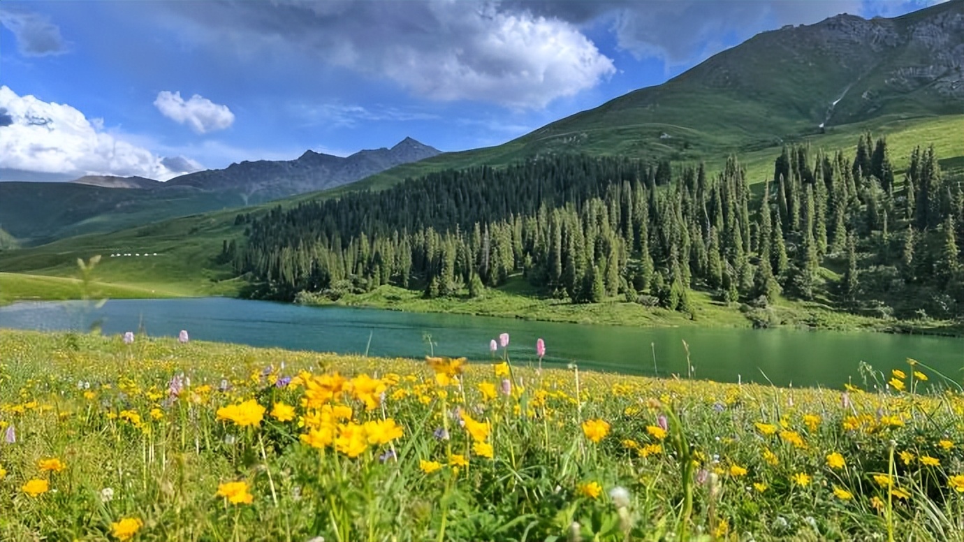 *疆新**为什么不包邮？看完*疆新**有多大就清楚了