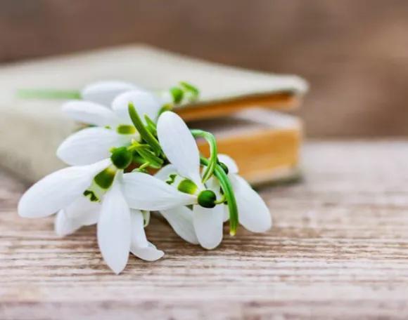 取个名字咋就这么难呢,孩子名字难写