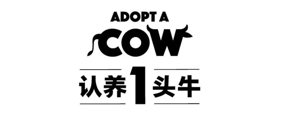 品牌新公式：卖点+卖价x,内容+场景+kol）