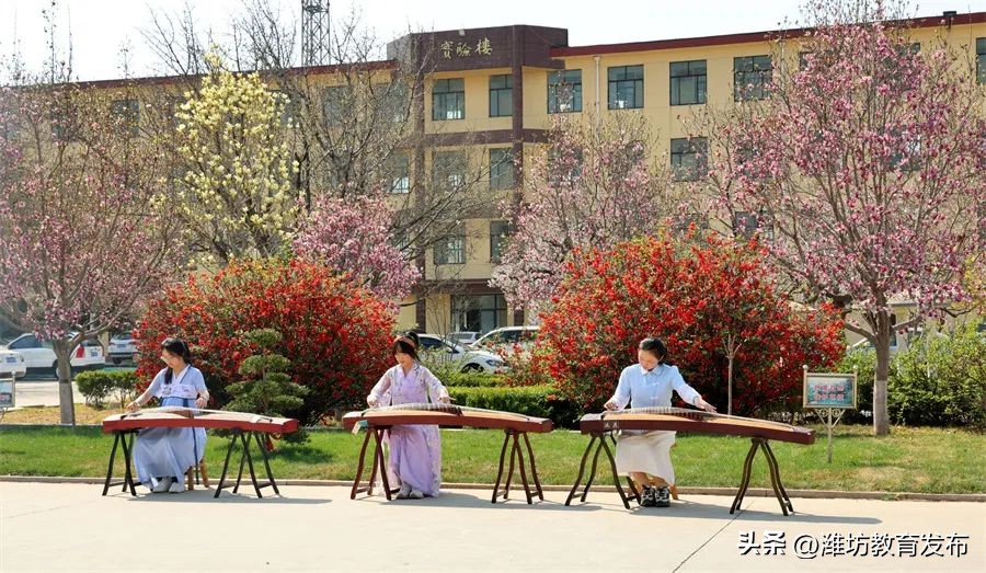 美！潍坊校园春景强势来袭