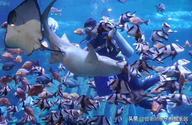 西安亲子游景点大全集,西安游玩攻略景点大全亲子