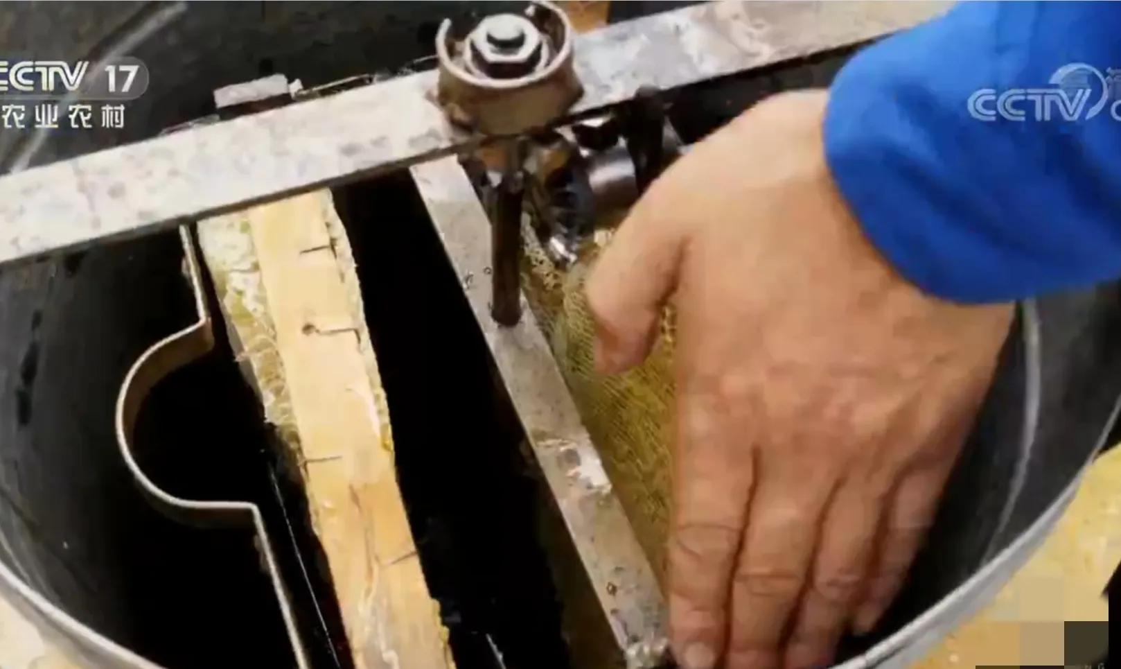 农村小伙承包80亩果园,90后小伙承包15亩果园养活3个孩子