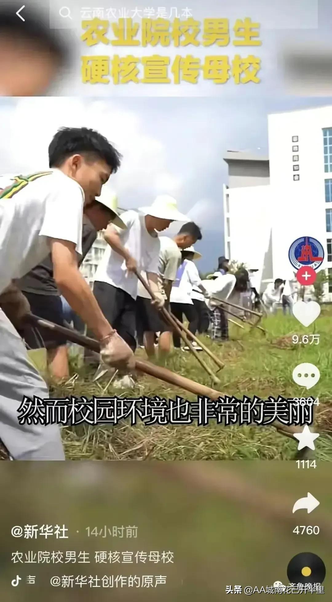 云南农大招生简章火了,云南农大招生简章是什么梗