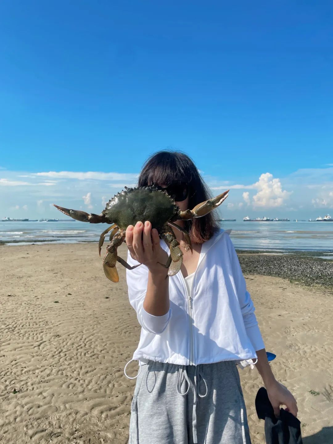 赶海被海胆刺到,赶海被海葵蜇伤