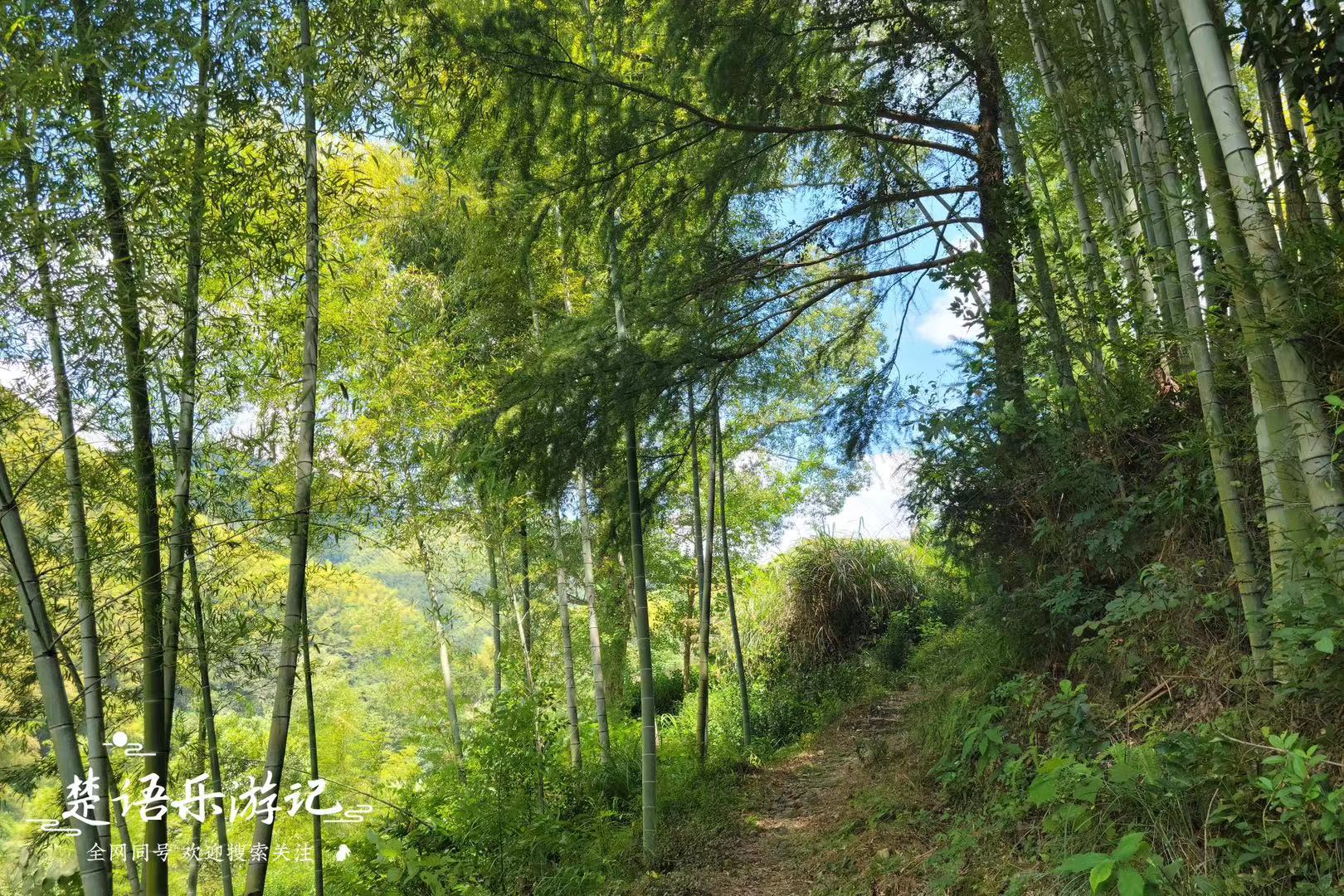 浙江隐藏最深的古村,浙江被遗忘的古村落