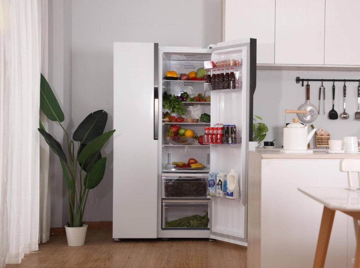 什么牌子冰箱好容量大价格便宜,为什么对开门冰箱价格要高