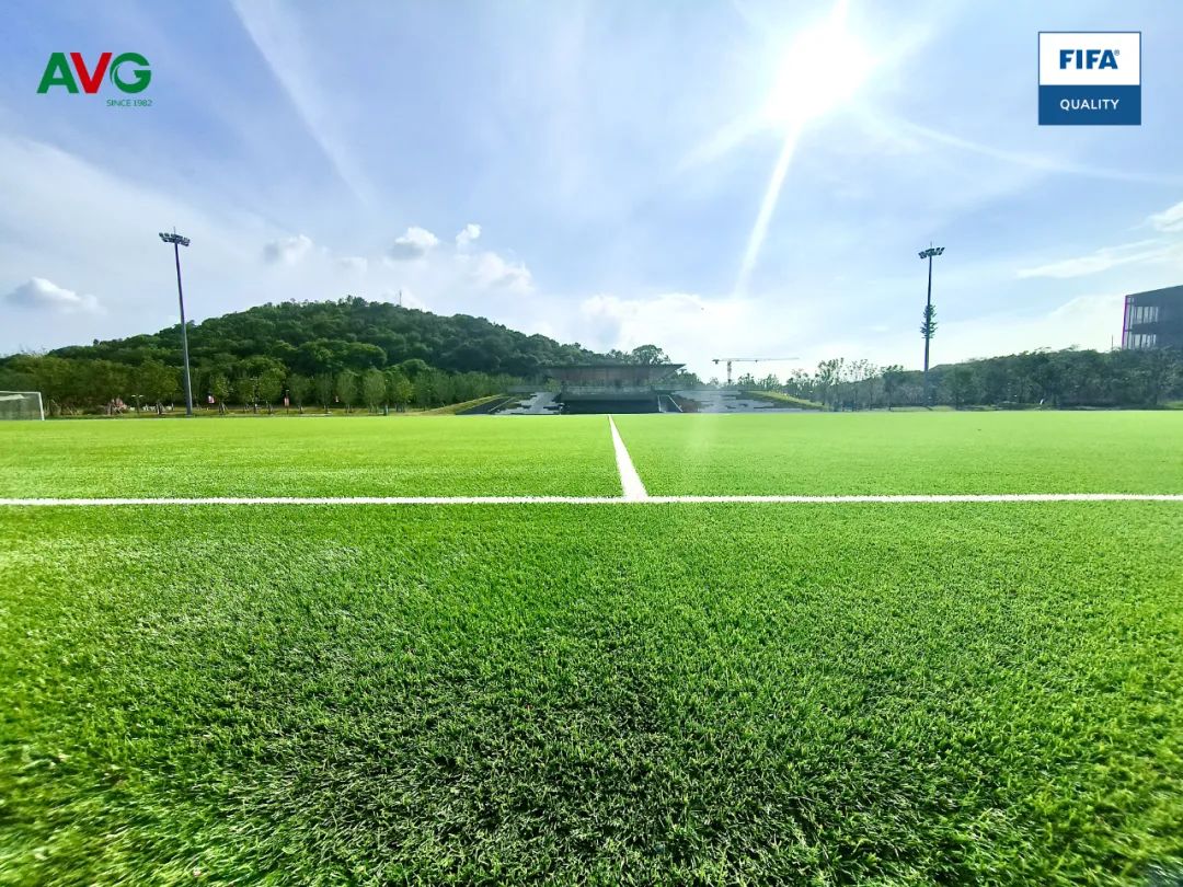 国际足联fifa场地认证资格,国际fifa场地认证