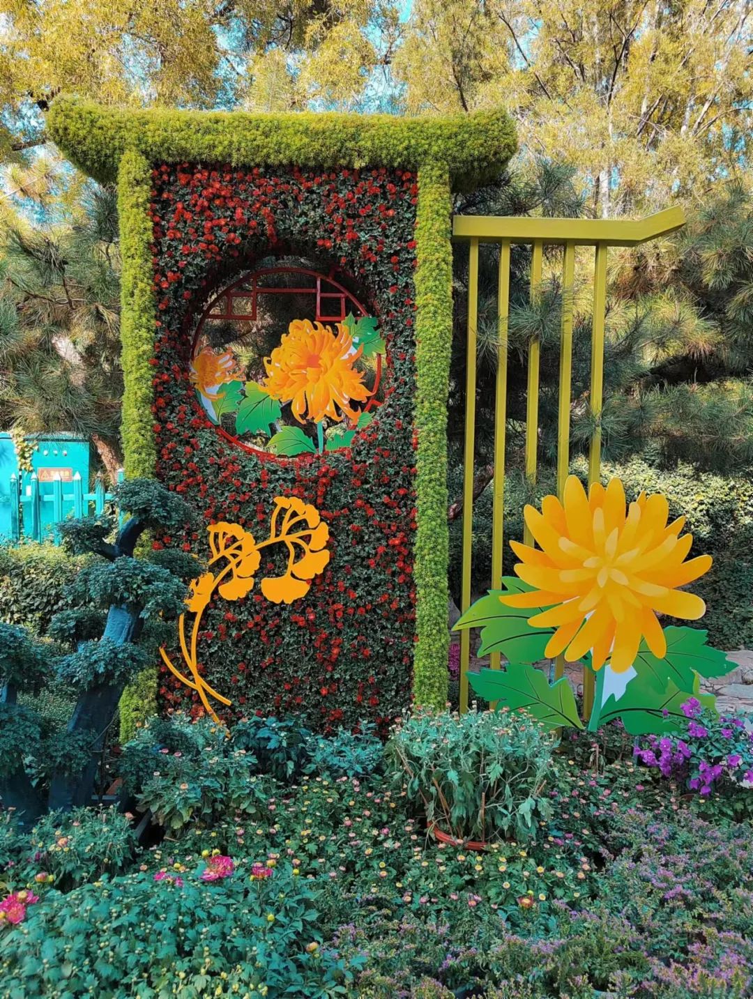 济南赏秋,秋天济南去哪里赏秋最好