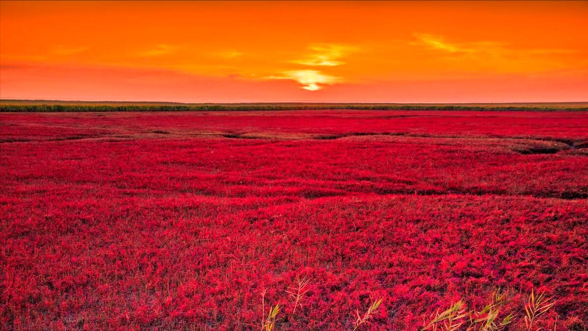 地球失去太阳该如何生存,太阳改变颜色