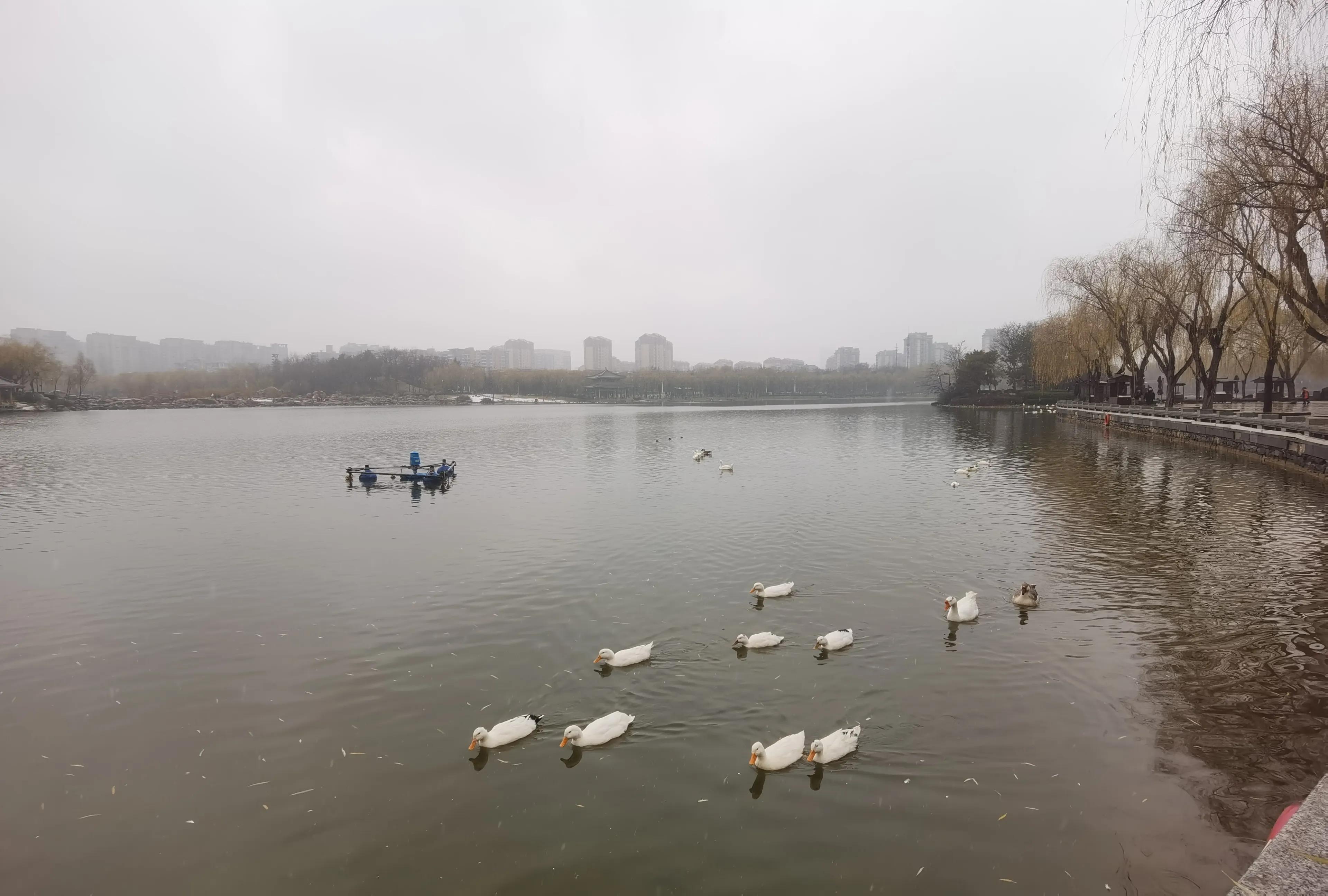 冬雪胖胖吖,冬雪诗句
