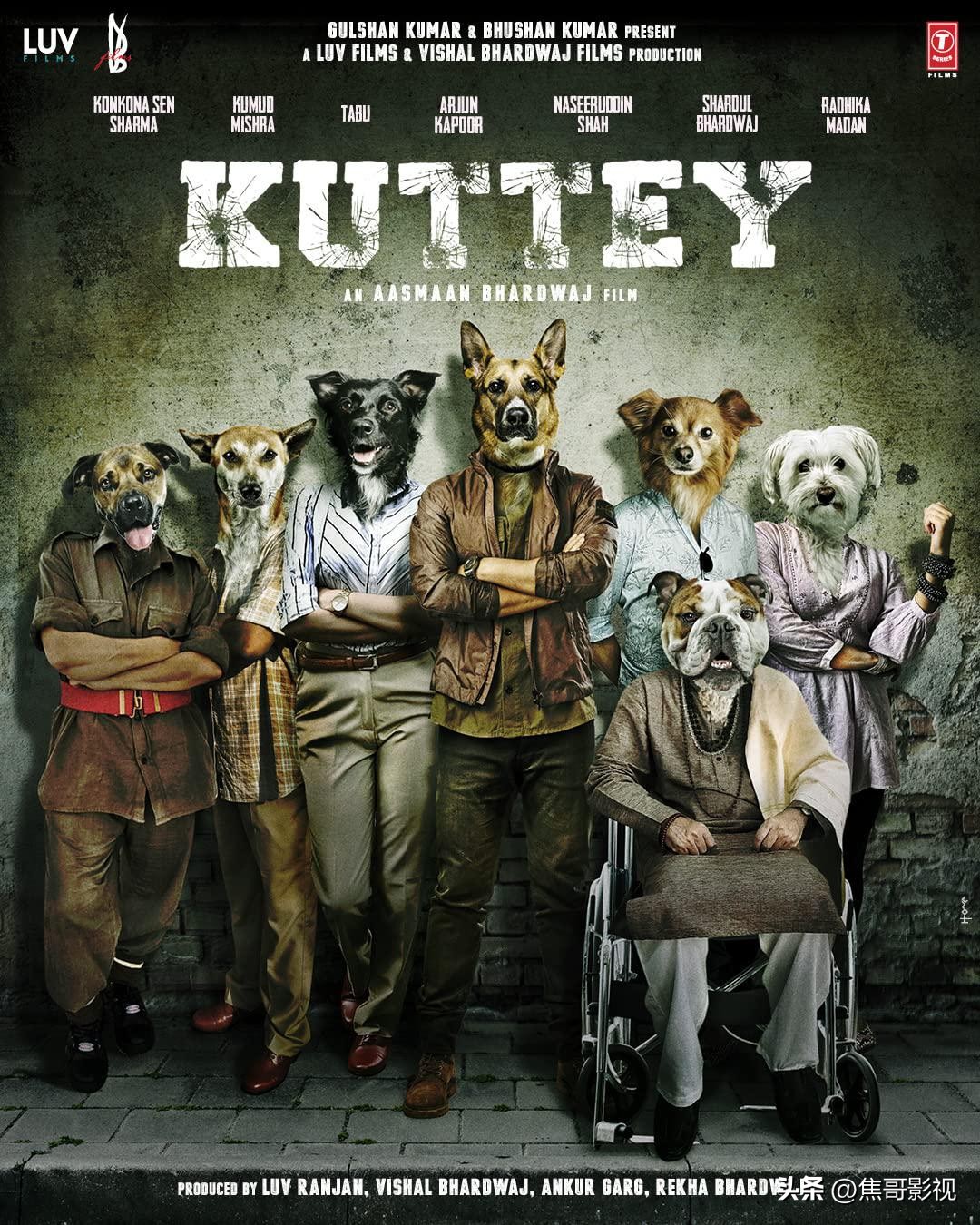 盘点5部令人深思的印度电影,最新最好看的印度电影推荐20部