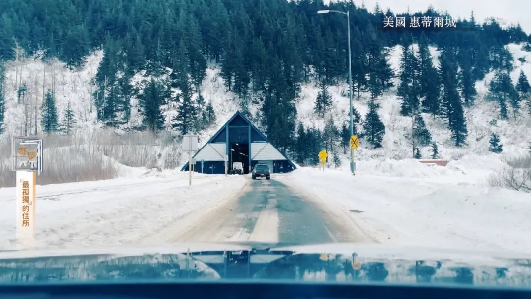 孤岛探秘试玩,孤岛探秘小说