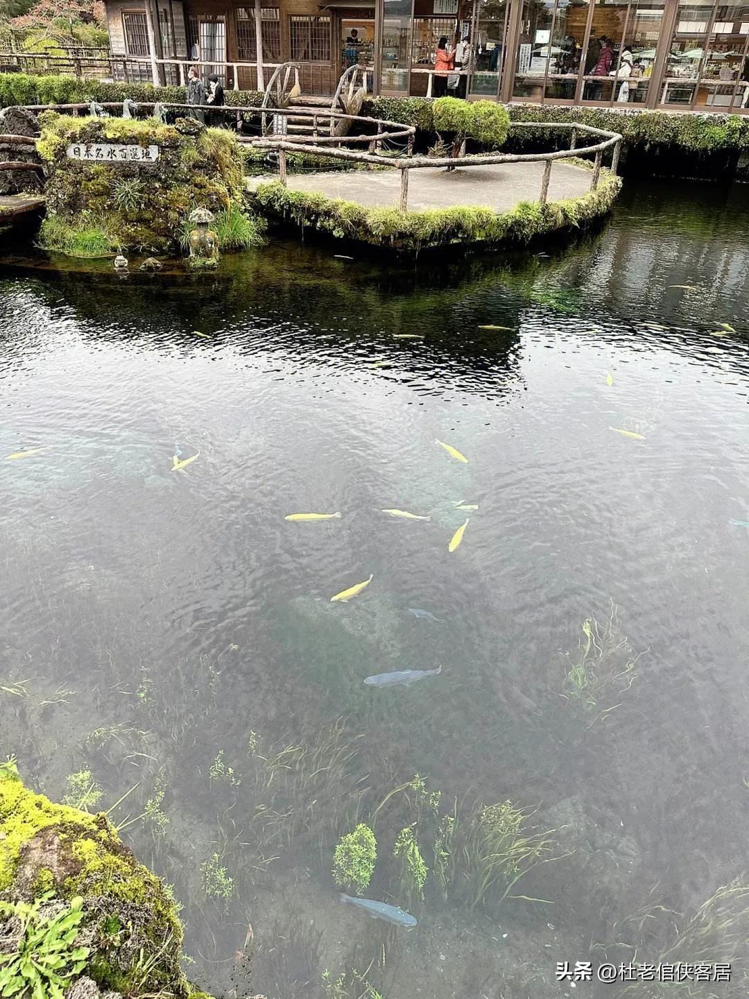 日本忍野八海值得去吗,忍野八海游玩