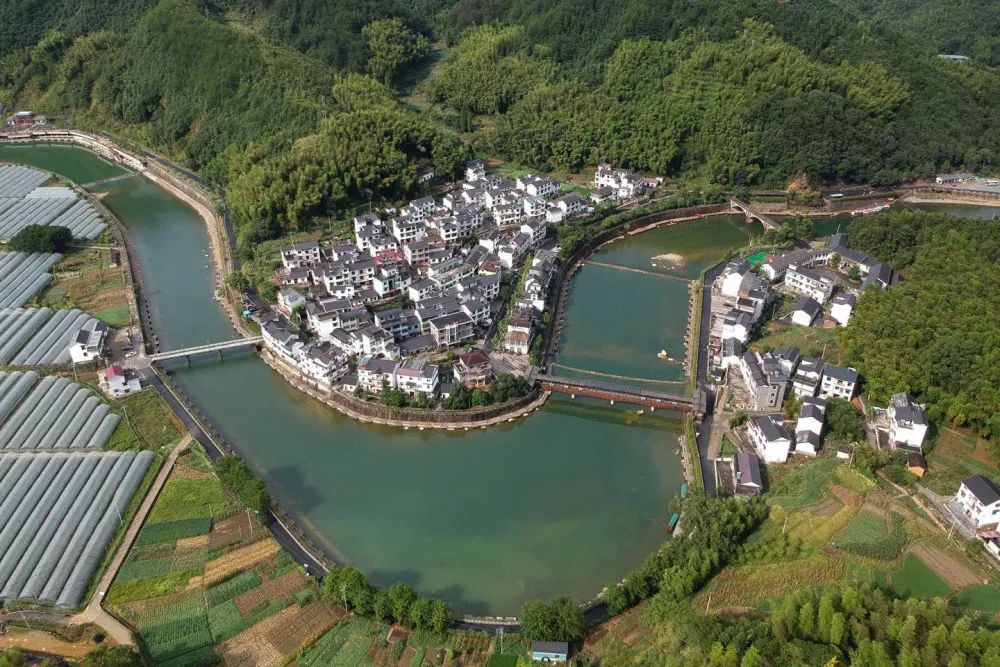 千万工程塑造美丽乡村新华社,千万工程助力乡村振兴事例