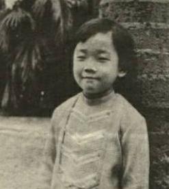 林忆莲有多大魅力让人着迷,林忆莲和李宗盛离婚后关系怎么样