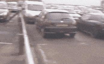 在公园和大爷打羽毛球,公园偶遇大爷打羽毛球