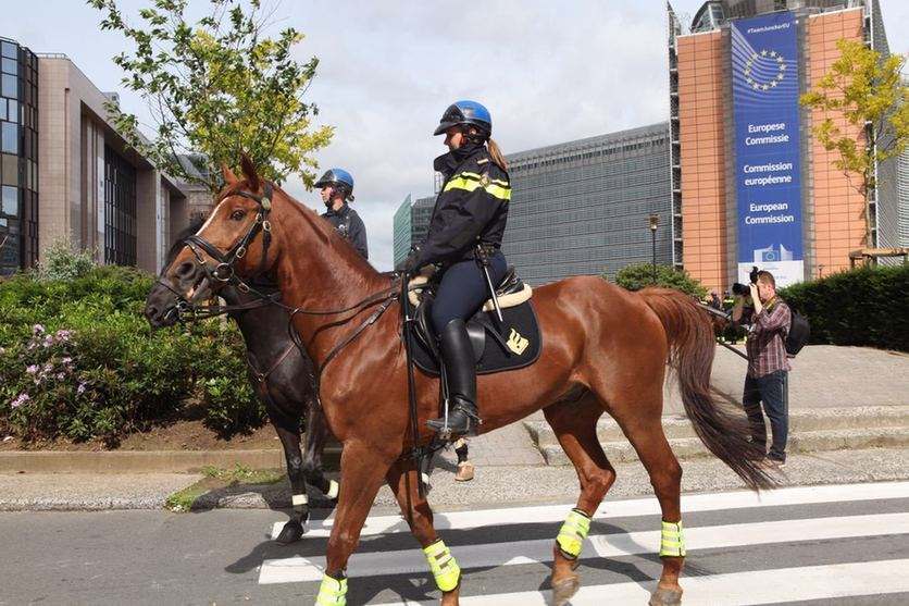 真正的荷兰是怎样的荷兰,荷兰是怎么样的荷兰