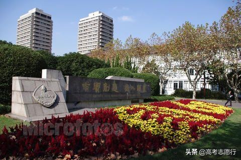 华师研究生就业前景,华师就业率