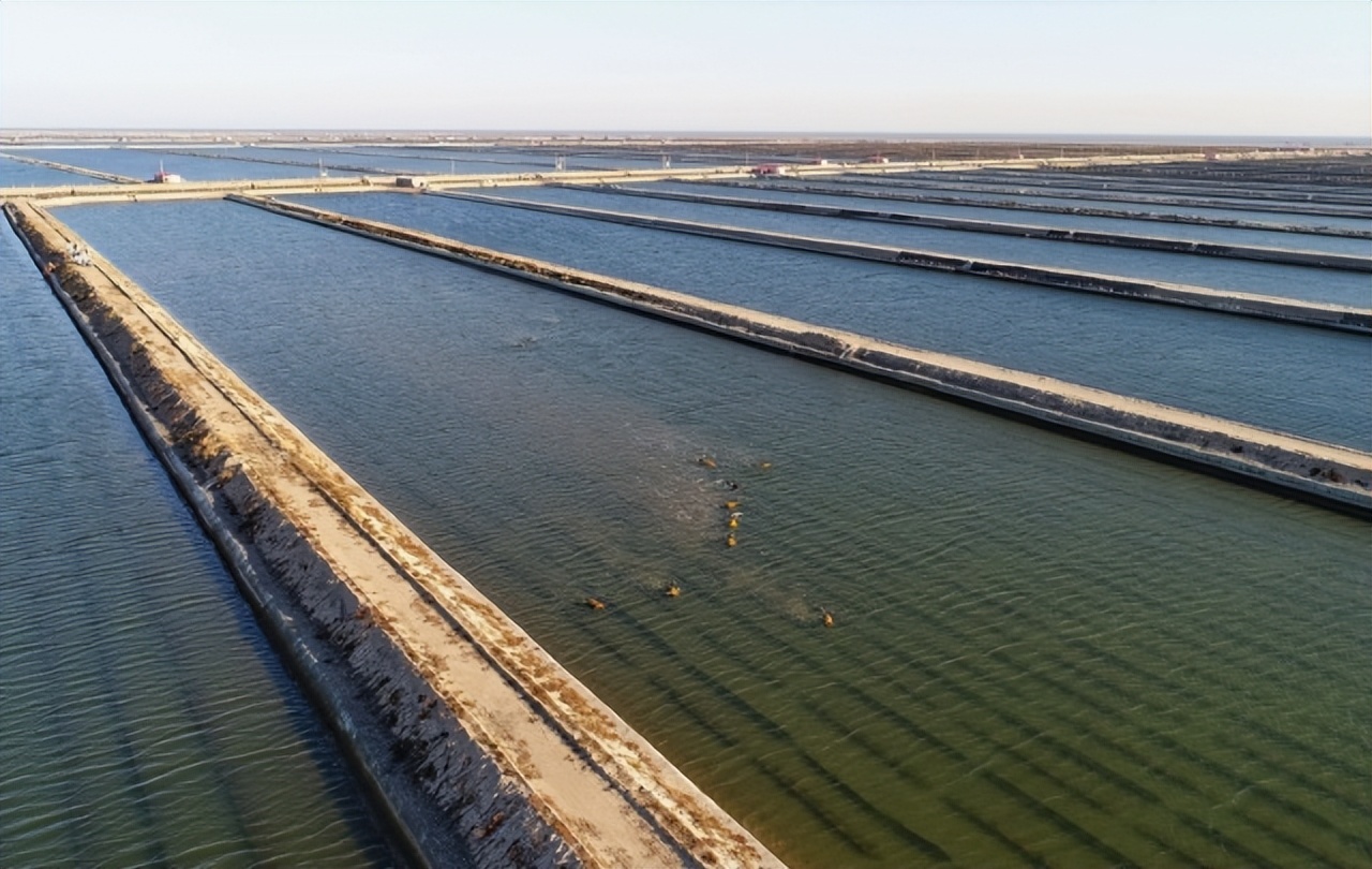 环境民事纠纷的解决案例分析,破坏环境民事责任的归责原则是