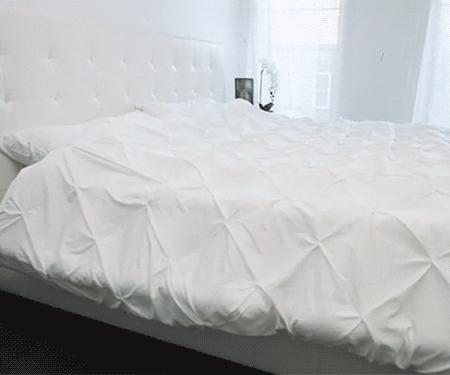 床上“螨虫成堆”？教你个土法子，家中放些它，螨虫“都跑光了”