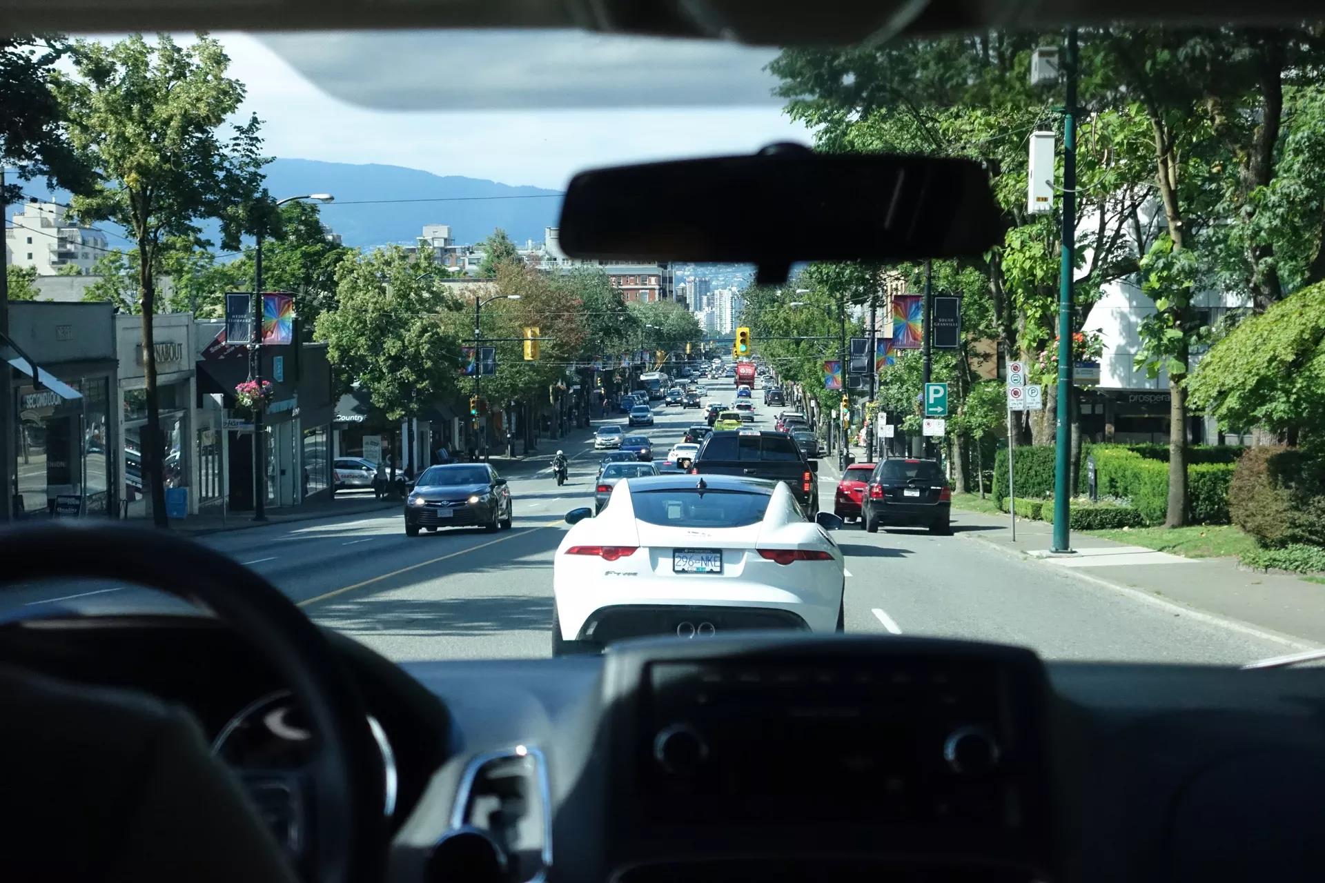 青岛如何带上猫猫去加拿大多伦多,钱猫猫加拿大之旅