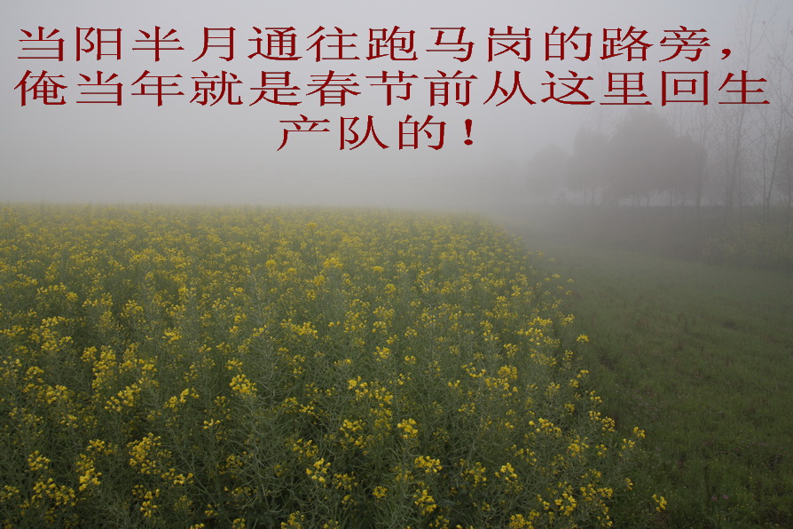 知青回忆插队艰苦岁月,知青回忆插队大锅饭