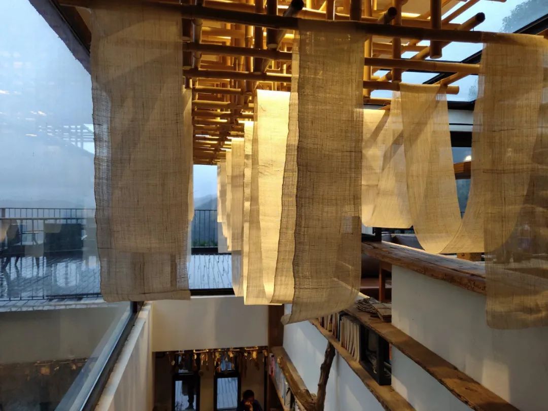 苎麻在哪本医书里被称为中国草,苎麻草如何寻找