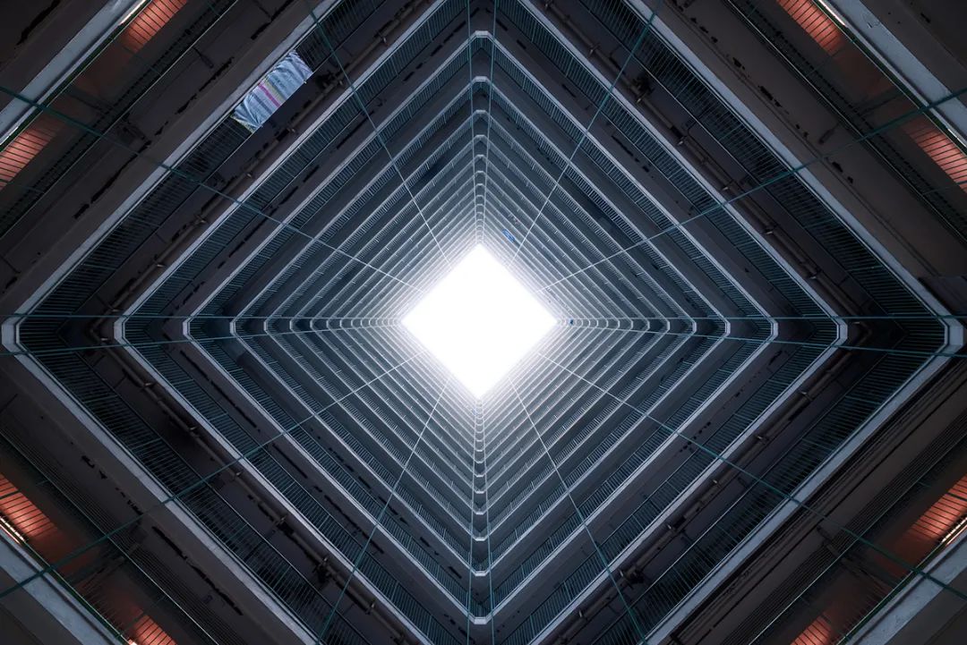 密集恐惧症一下被治好了,这位摄影师