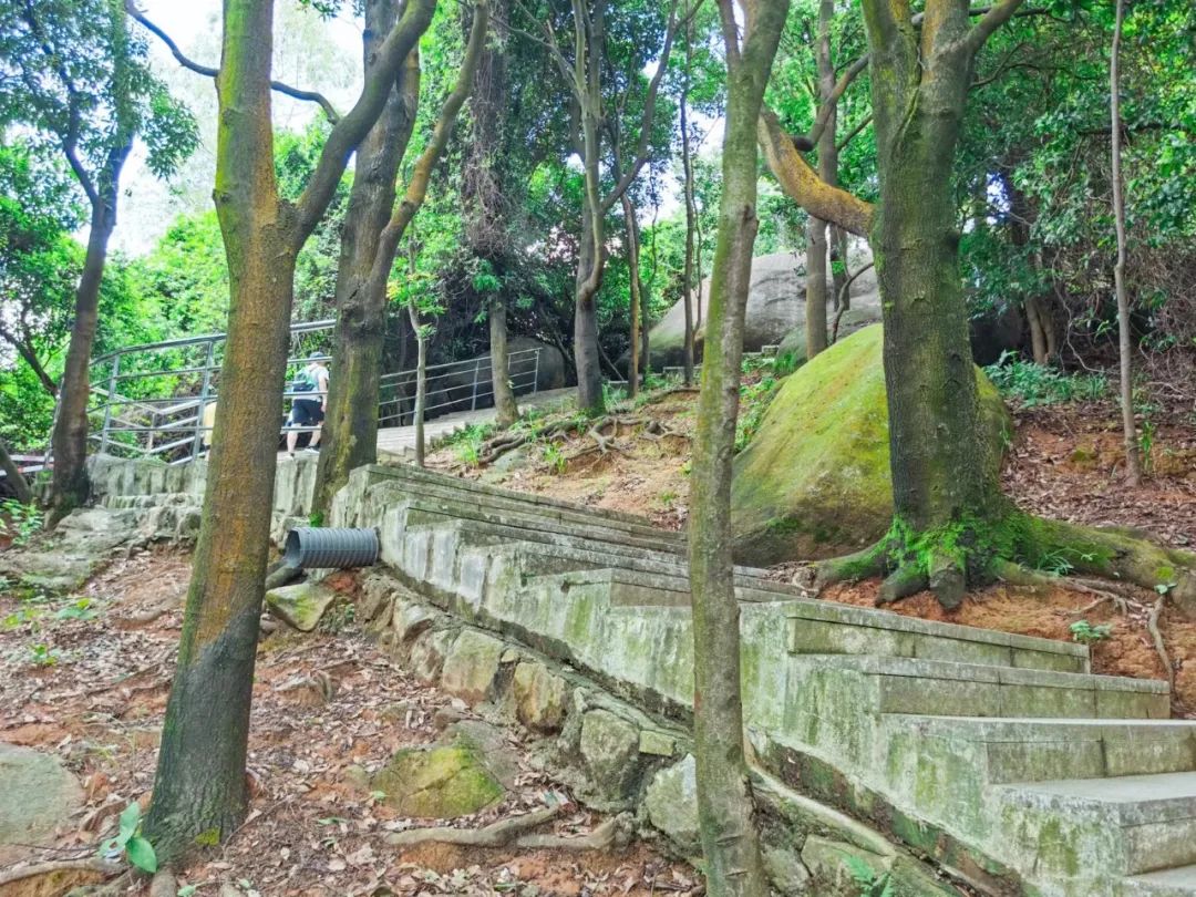 徒步登山我健康我快乐,广州火炉山爬山最佳地点