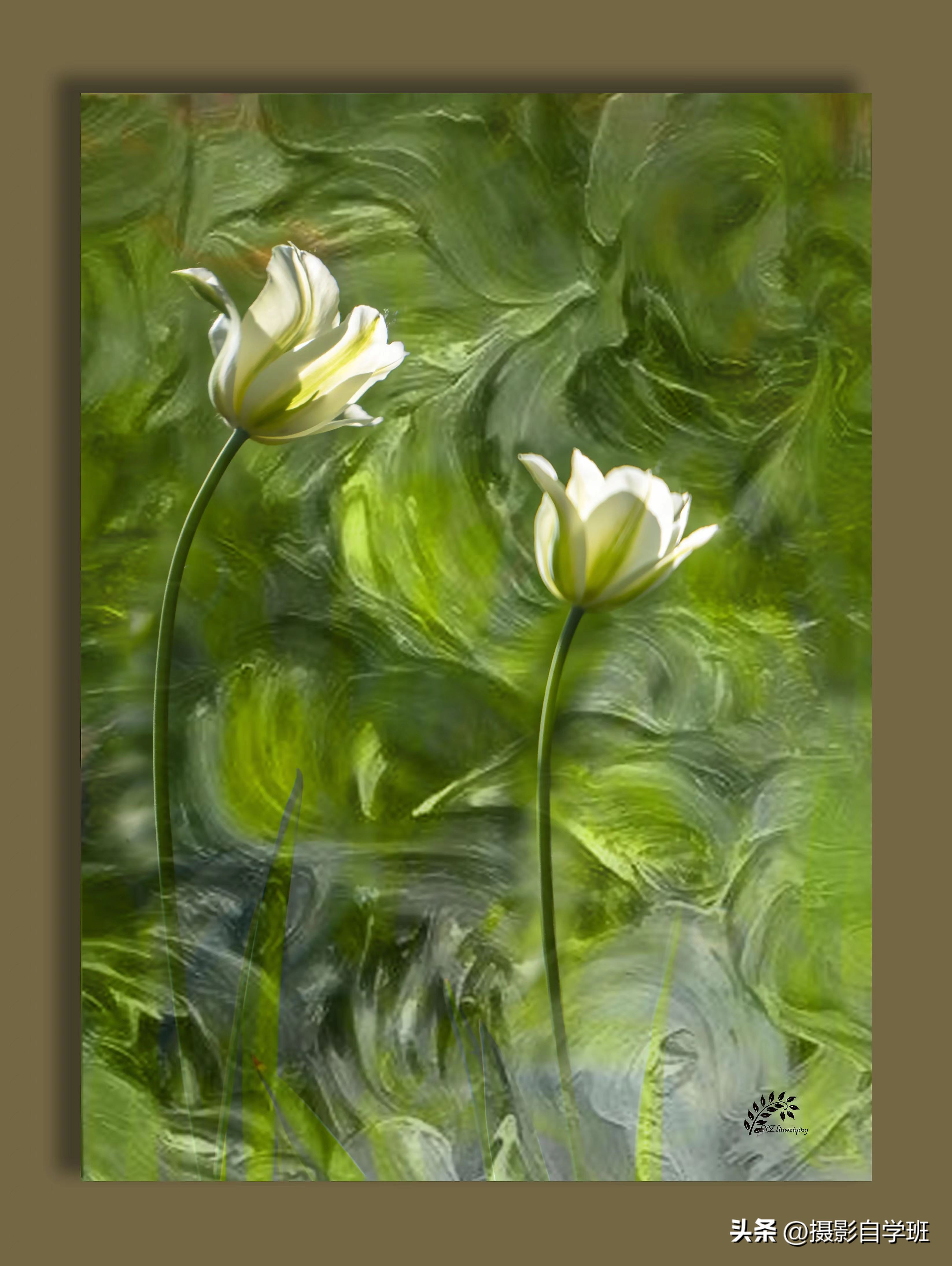 摄友投稿图片,摄友投稿旅行记录图