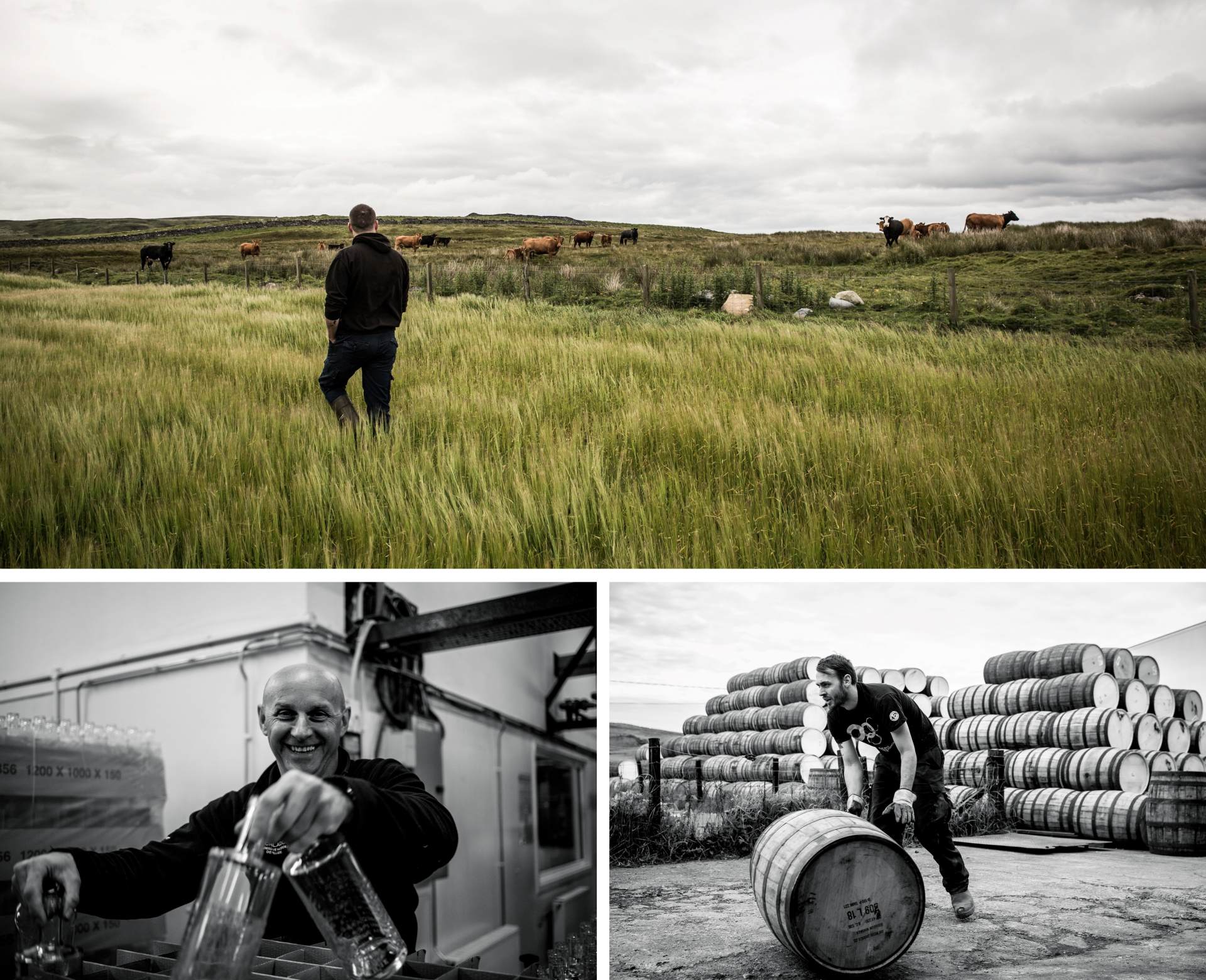 湾区羙好生活周报|星语祝福,十二月新愿季