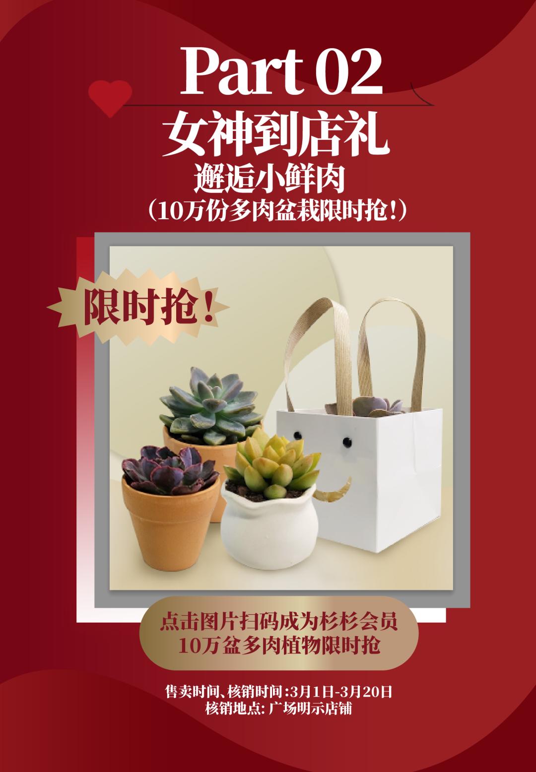 多肉花特价大清仓秒杀包邮,多肉植物满99减10爆款商品