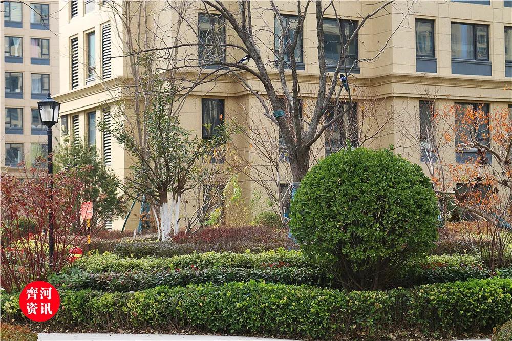 齐河绿城当年开盘多少钱,齐河房产绿城