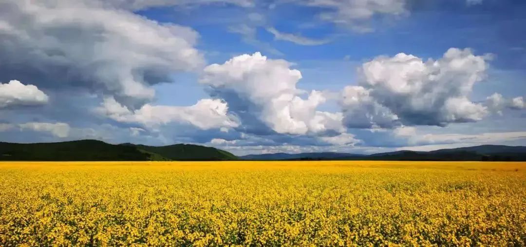 鍐呰挋鍙ゅ宸磋兒椋庢牸琛ｆ湇,澶氬反瀹夌┛鎼唴钂欏彜